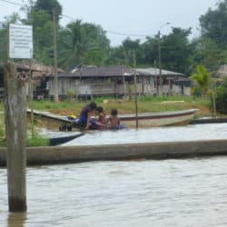 Self-Protection Mechanisms: Colombian Rural Defenders and Communities