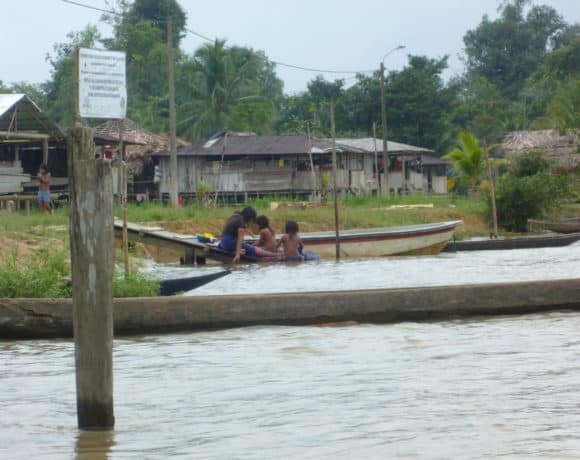 Self-Protection Mechanisms: Colombian Rural Defenders and Communities