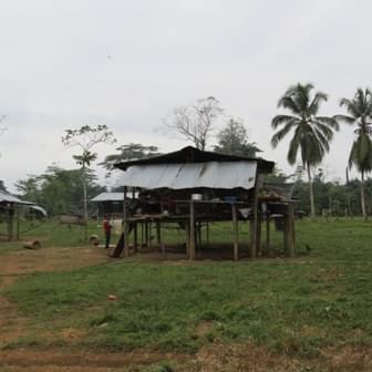 Mande Norte Mining Project in Embera Indigenous Peoples Land