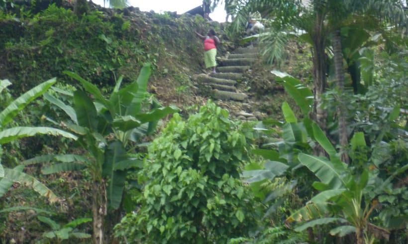 Communities in Chocó call on all armed actors in the Colombian conflict to respect International Humanitarian Law Communities in Chocó call on all armed actors in the Colombian conflict to respect International Humanitarian Law