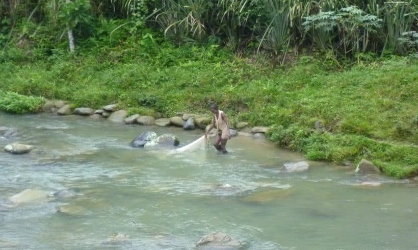 A River with Rights: Community Response to Illegal Gold Mining in Chocó, Colombia