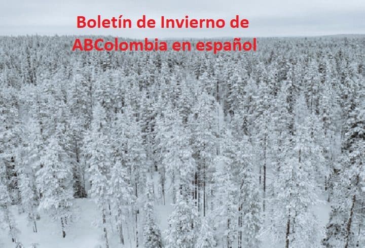 Boletin de Invierno ahora en espanol