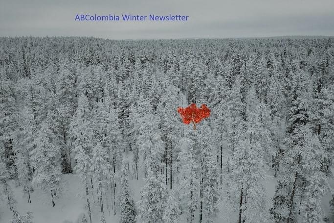 ABColombia Winter Newsletter