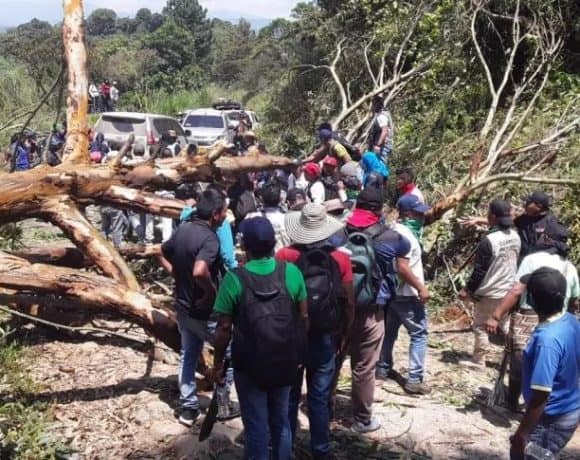 Nasa Indigenous Governor Sandra Liliana Peña Chocué shot and killed