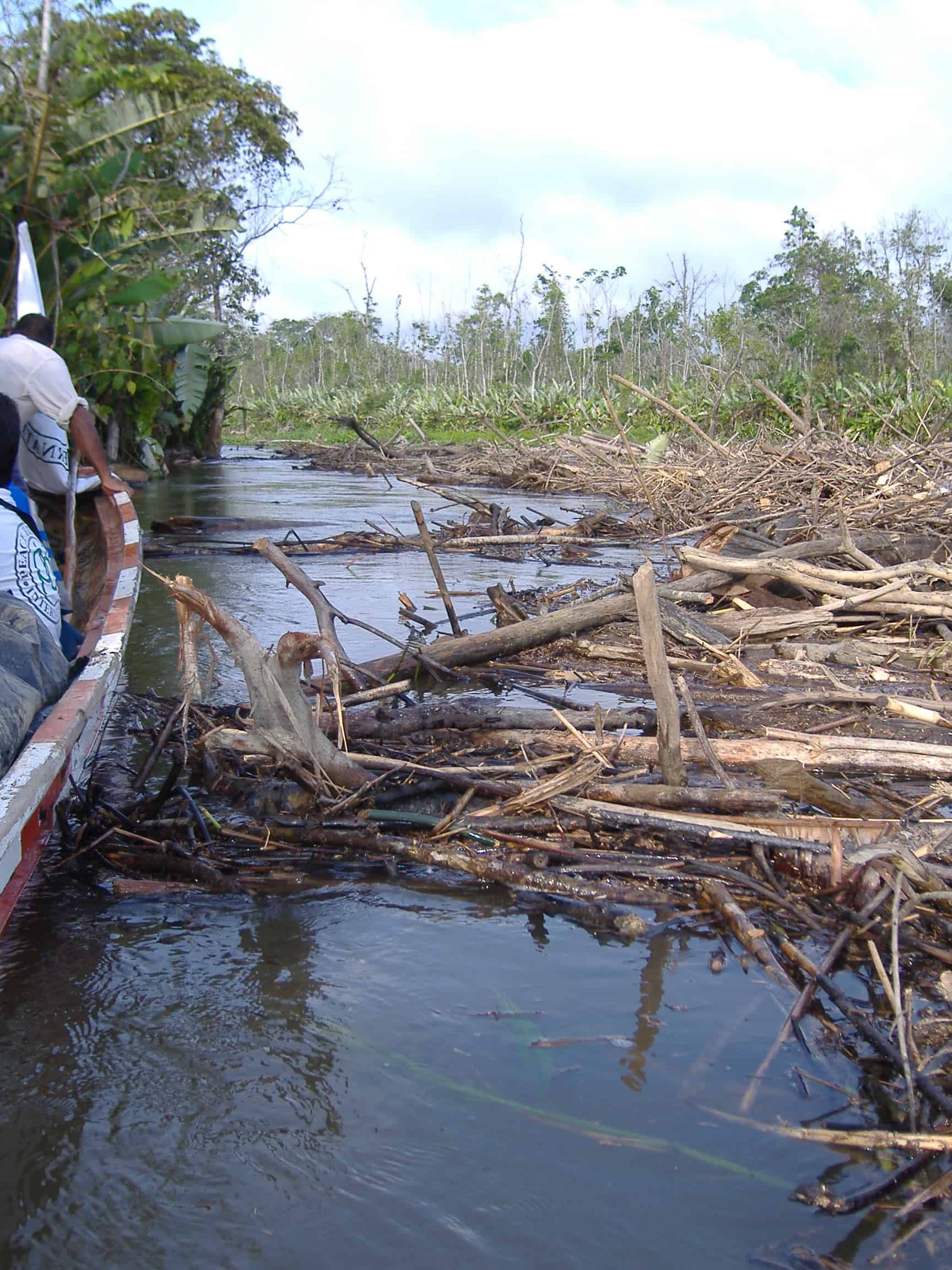 deforestation-and-silting-of-rivers