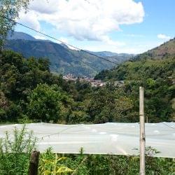 Communities resist the La Colosa Mine open-pit gold mine proposed in the Paramos of Tolima
