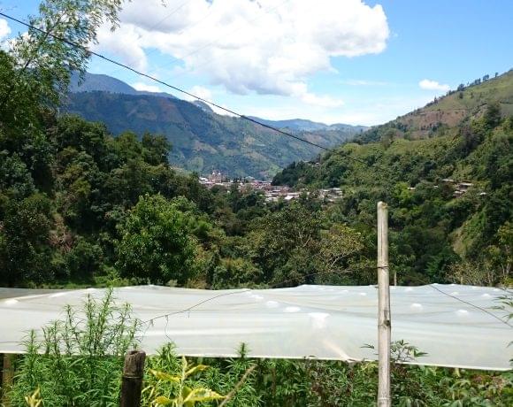 Communities resist the La Colosa Mine open-pit gold mine proposed in the Paramos of Tolima