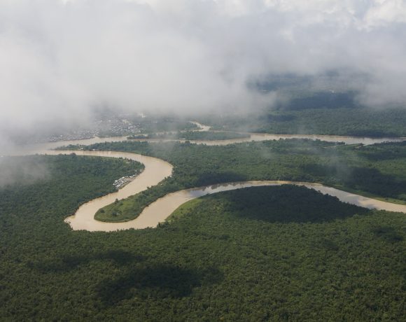 Urgent Action to protect the environment and the Paimadó community