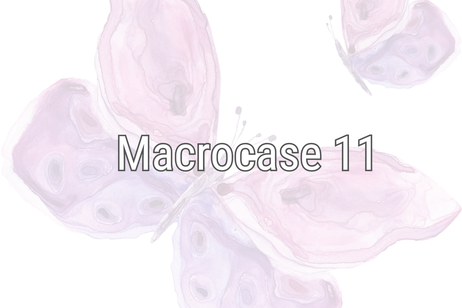 Macrocaso1 1
