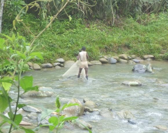 Afro-Colombian and Indigenous communities face higher risk to health and wellbeing in Colombia