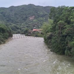 Urgent Alert from Cajibio