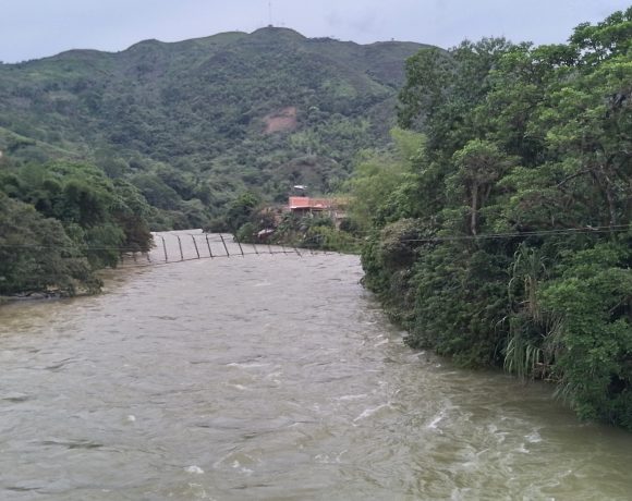 Urgent Alert from Cajibio