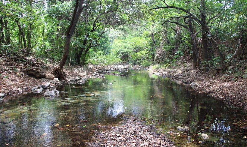 ABColombia and the Corporate Justice Coalition denounce the attempt on the life of Environmental Human Rights Defender Misael Socarrás Ipuana ABColombia and the Corporate Justice Coalition denounce the attempt on the life of Environmental Human Rights Defender Misael Socarrás Ipuana