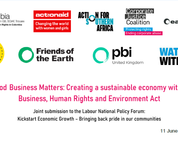 Good Business Matters: Creating a sustainable economy with a Business, Human Rights and Environment Act Good Business Matters: Creating a sustainable economy with a Business, Human Rights and Environment Act