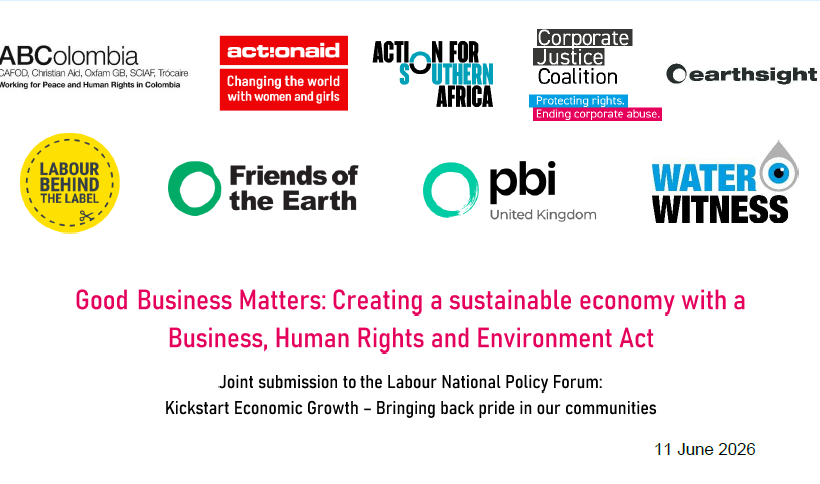 Good Business Matters: Creating a sustainable economy with a Business, Human Rights and Environment Act Good Business Matters: Creating a sustainable economy with a Business, Human Rights and Environment Act